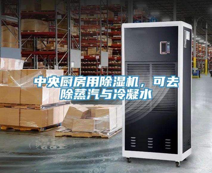中央廚房用除濕機(jī)，可去除蒸汽與冷凝水