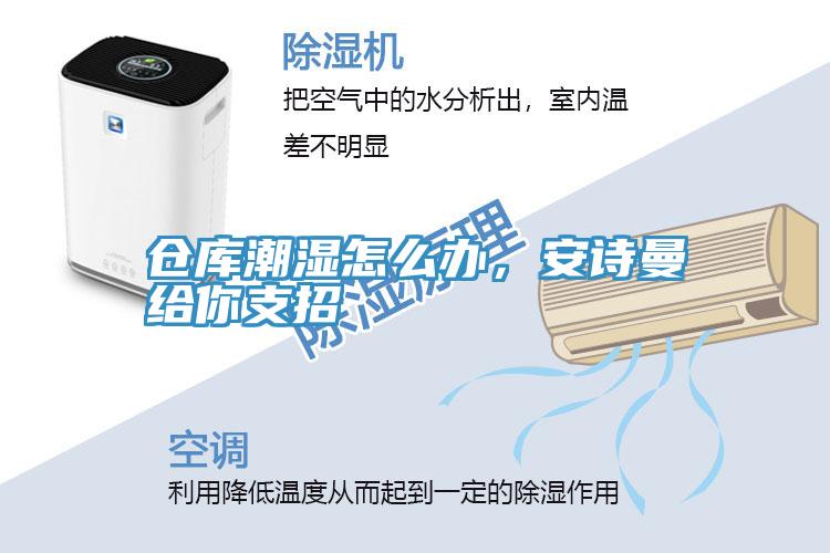 倉庫潮濕怎么辦，安詩曼給你支招