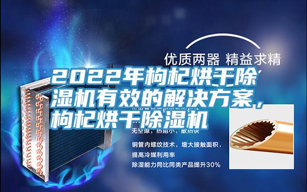 2022年枸杞烘干除濕機有效的解決方案，枸杞烘干除濕機