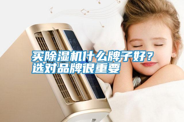 買除濕機(jī)什么牌子好？選對(duì)品牌很重要
