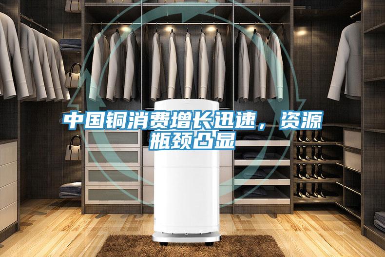 中國(guó)銅消費(fèi)增長(zhǎng)迅速，資源瓶頸凸顯