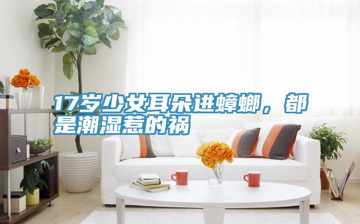17歲少女耳朵進(jìn)蟑螂，都是潮濕惹的禍