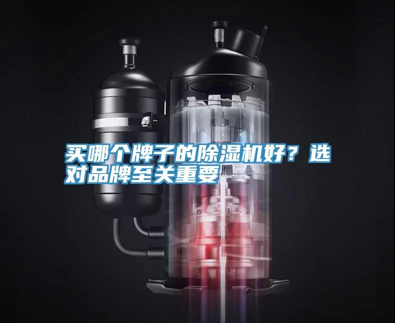 買哪個(gè)牌子的除濕機(jī)好？選對(duì)品牌至關(guān)重要