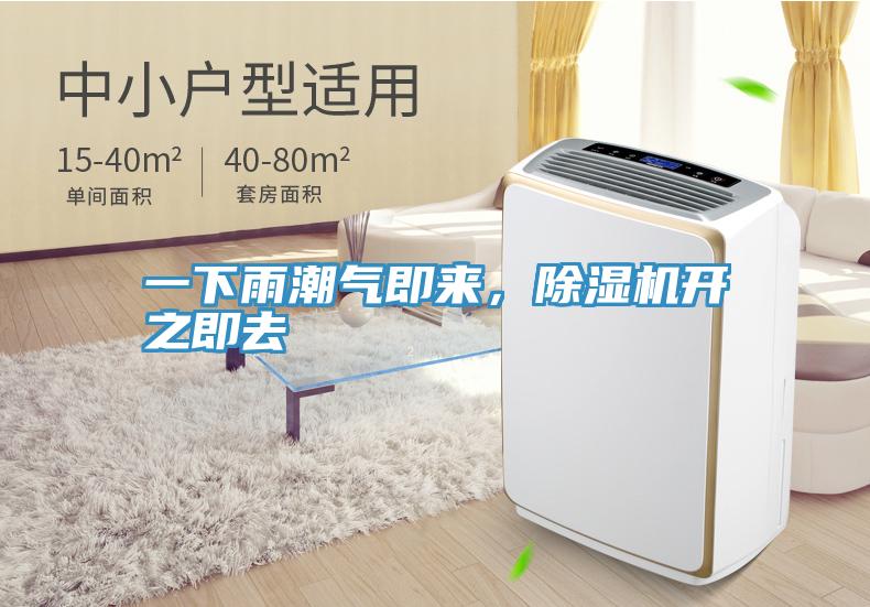 一下雨潮氣即來，除濕機開之即去