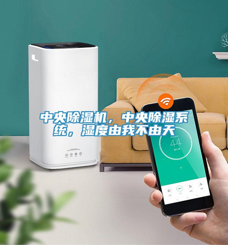中央除濕機，中央除濕系統(tǒng)，濕度由我不由天