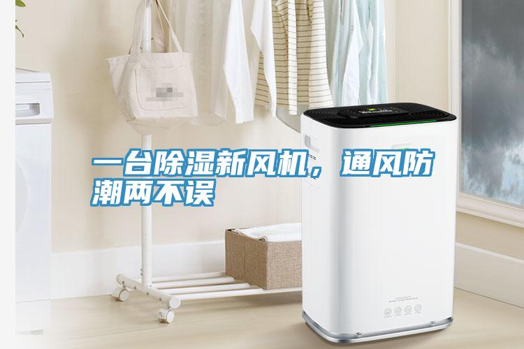 一臺除濕新風機，通風防潮兩不誤