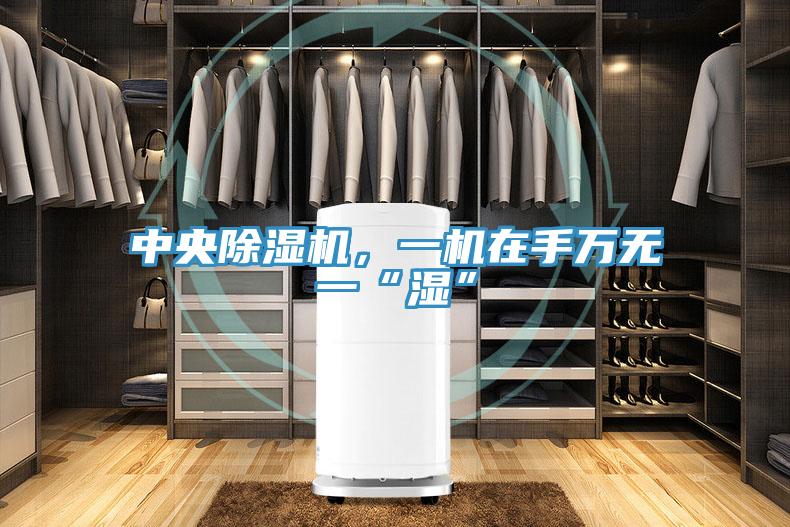中央除濕機，一機在手萬無一“濕”
