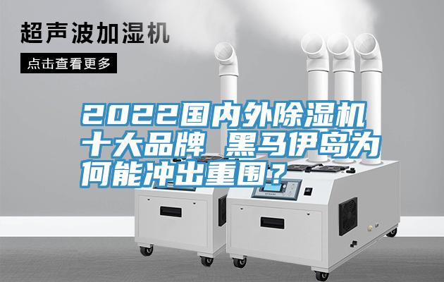 2022國內(nèi)外除濕機十大品牌 黑馬伊島為何能沖出重圍？