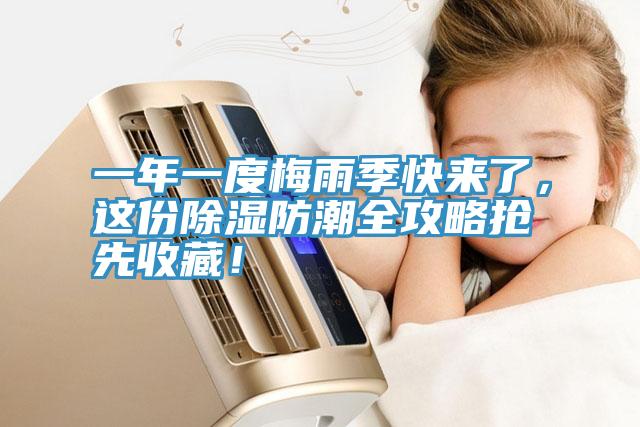 一年一度梅雨季快來了，這份除濕防潮全攻略搶先收藏！