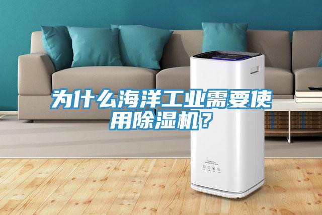 為什么海洋工業(yè)需要使用除濕機？