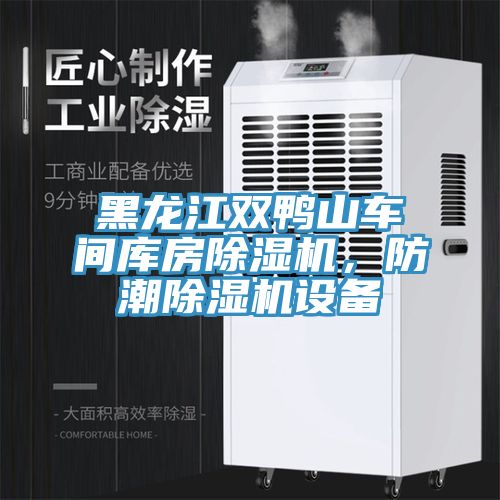 黑龍江雙鴨山車間庫房除濕機(jī)，防潮除濕機(jī)設(shè)備