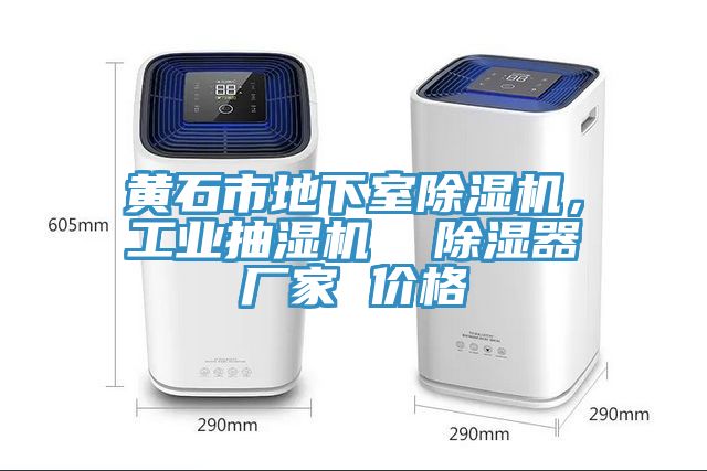 黃石市地下室除濕機(jī)，工業(yè)抽濕機(jī)  除濕器廠家 價(jià)格