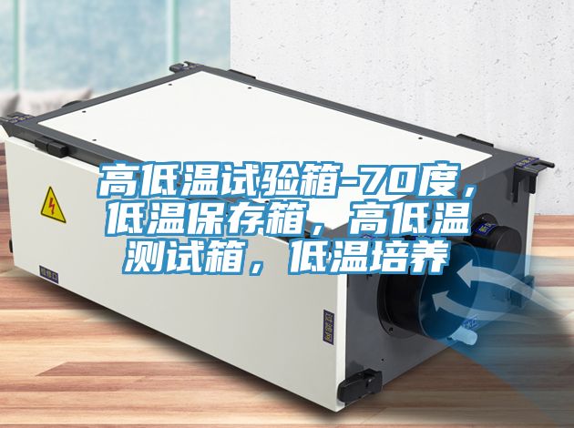 高低溫試驗(yàn)箱-70度，低溫保存箱，高低溫測(cè)試箱，低溫培養(yǎng)