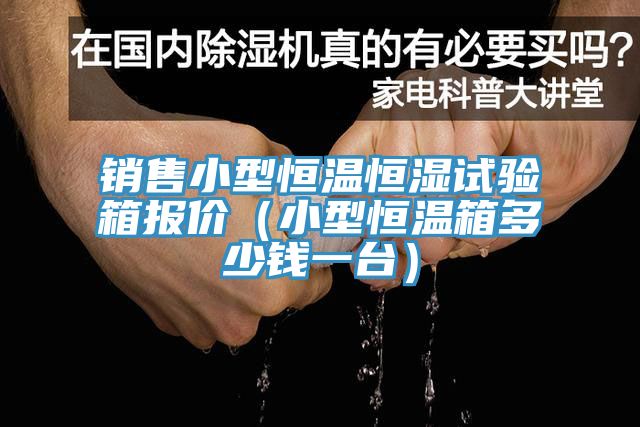 銷售小型恒溫恒濕試驗(yàn)箱報(bào)價(jià)（小型恒溫箱多少錢一臺）