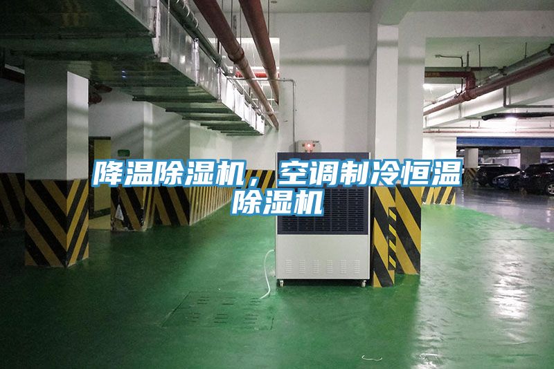 降溫除濕機(jī)，空調(diào)制冷恒溫除濕機(jī)