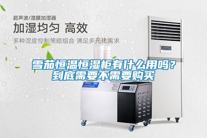 雪茄恒溫恒濕柜有什么用嗎？到底需要不需要購買