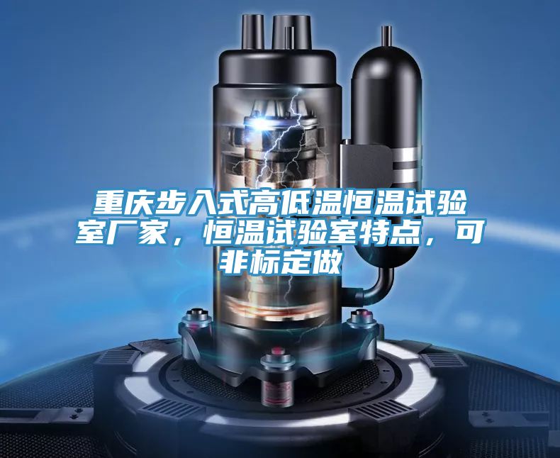 重慶步入式高低溫恒溫試驗(yàn)室廠家，恒溫試驗(yàn)室特點(diǎn)，可非標(biāo)定做