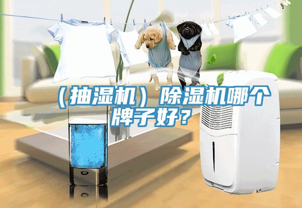 （抽濕機）除濕機哪個牌子好？