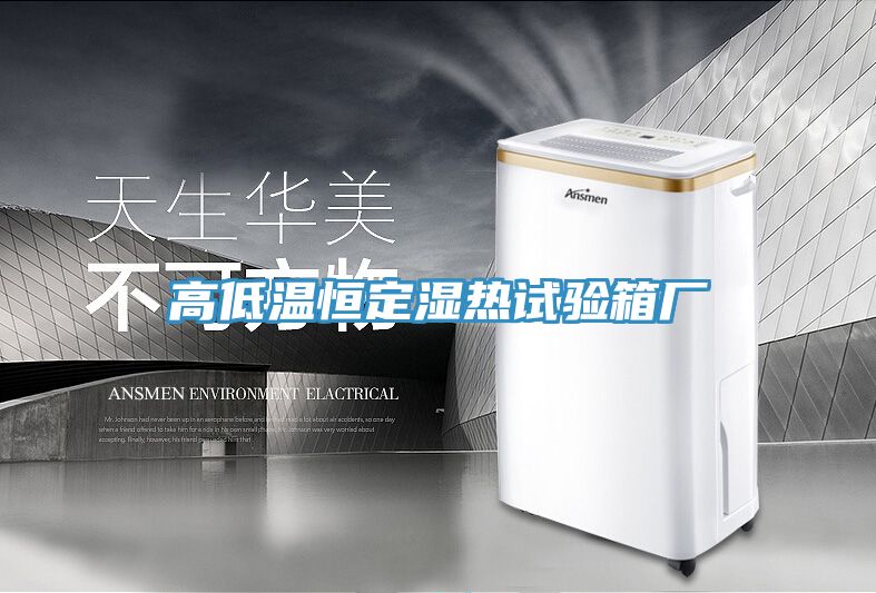 高低溫恒定濕熱試驗(yàn)箱廠(chǎng)
