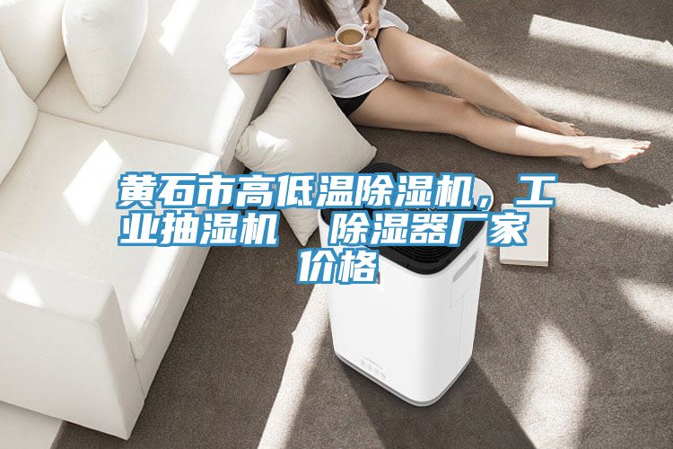 黃石市高低溫除濕機(jī)，工業(yè)抽濕機(jī)  除濕器廠家 價(jià)格