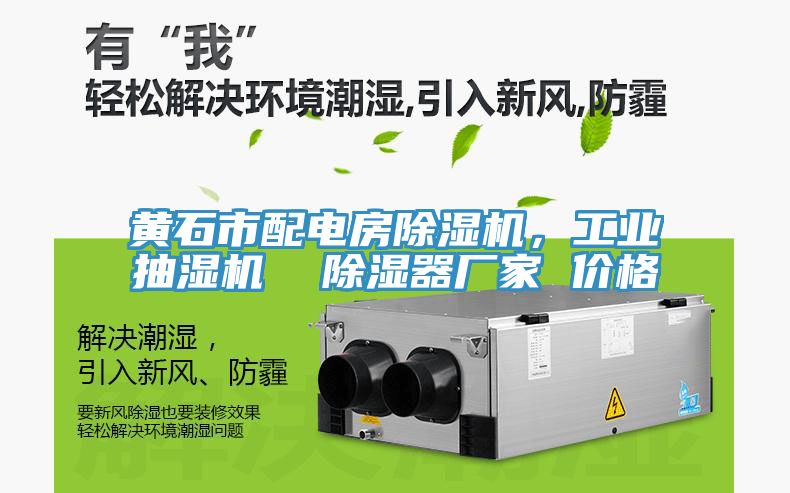黃石市配電房除濕機(jī)，工業(yè)抽濕機(jī)  除濕器廠家 價(jià)格