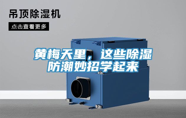 黃梅天里，這些除濕防潮妙招學起來