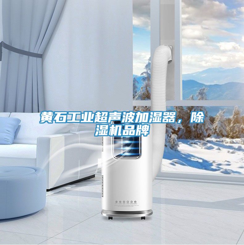 黃石工業(yè)超聲波加濕器，除濕機品牌