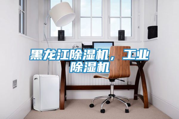 黑龍江除濕機，工業(yè)除濕機